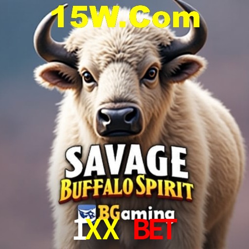 Interface Premium 1XX Bet